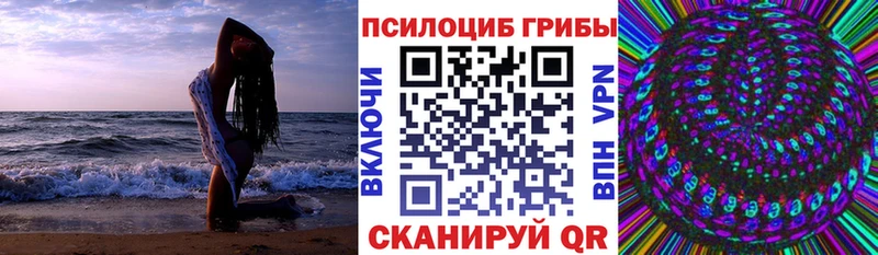 shop состав  где купить наркоту  Минусинск  Псилоцибиновые грибы мухоморы 